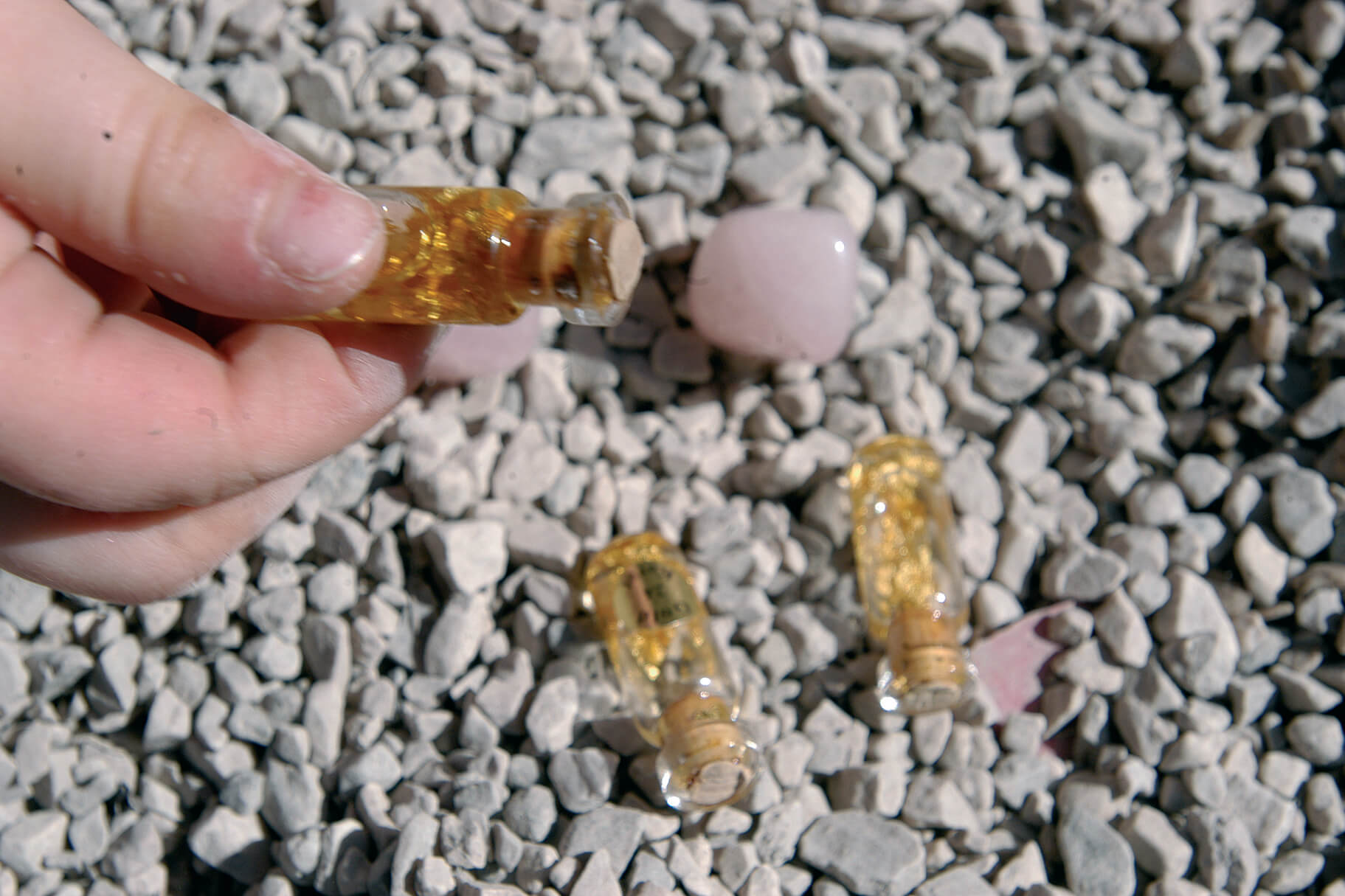 Entdecken für Kinder